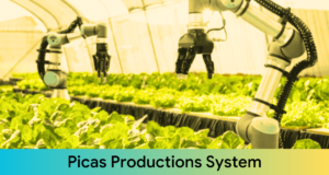 Picas Productions System