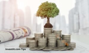 investiit.com tips